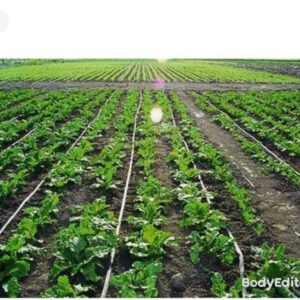 Micro Irrigation Methods for Agricultural Watering – Very best for Farms and Lawns